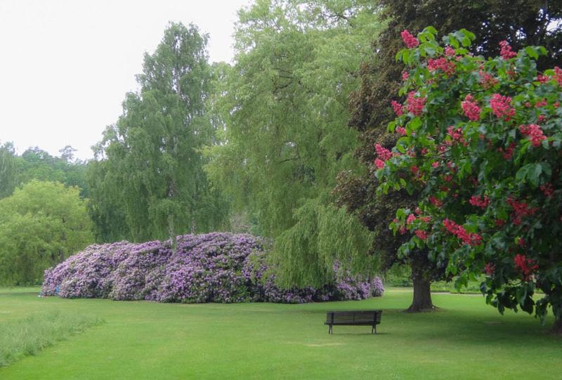 Café Mandeltårtan B&B VillaFloraViola Ronneby Bagian luar foto